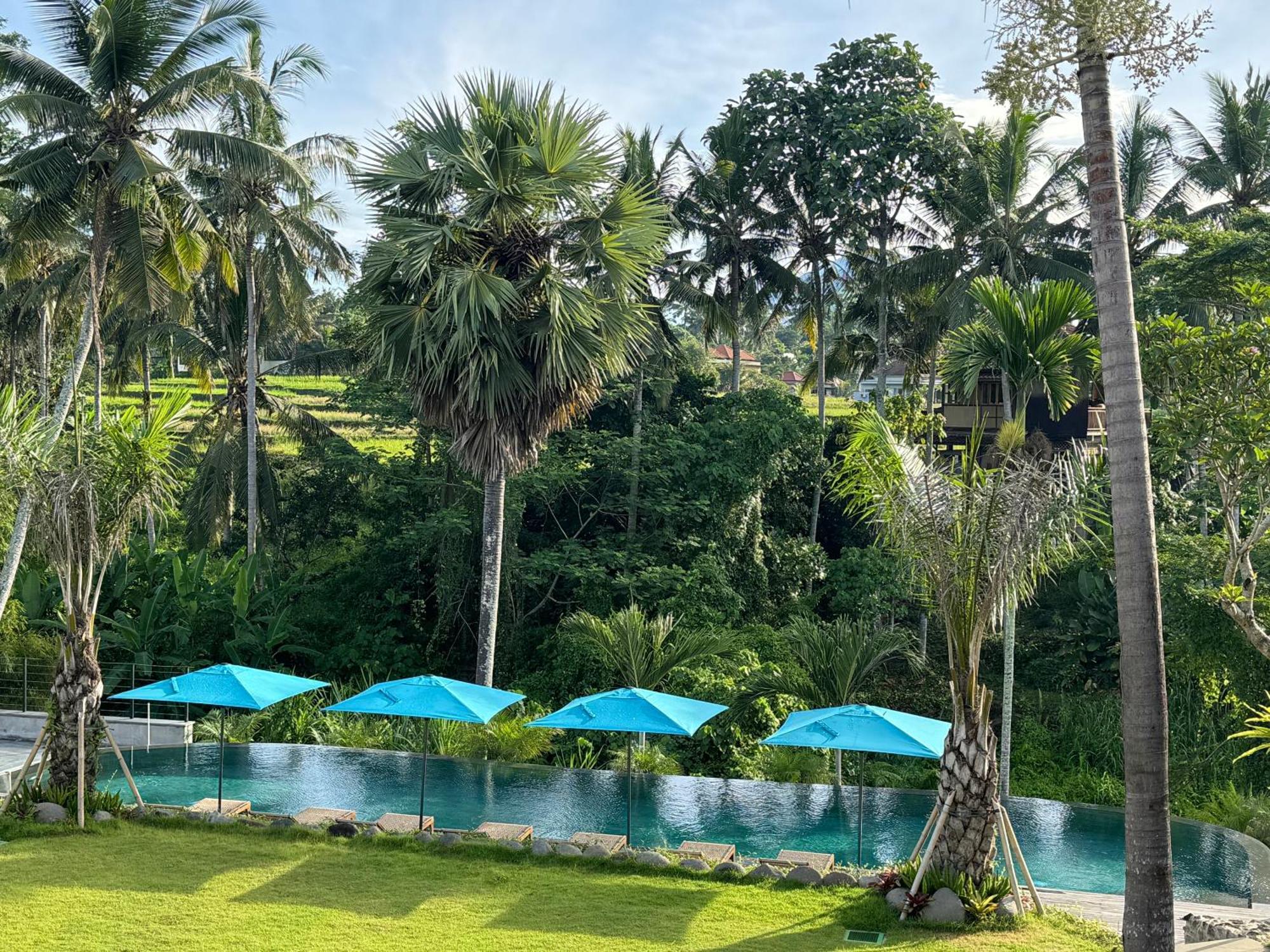 Rudra Sahashrara Bali - Ayurvedic - Health And Wellness Resort Ubud Zewnętrze zdjęcie